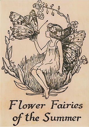 Flower Fairies of the Summer