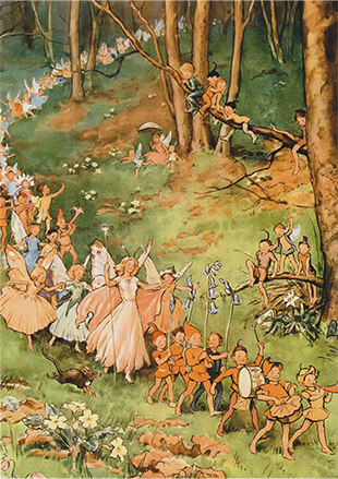 Forest Celebration