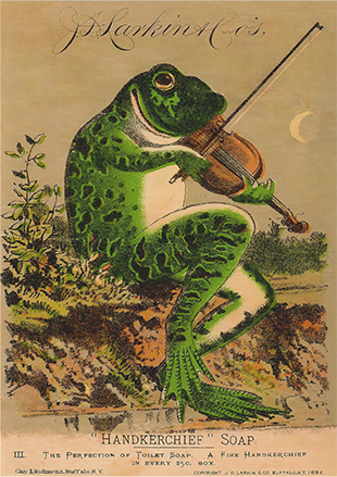 Violin Toad