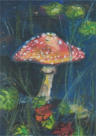 Mushroom in the Night