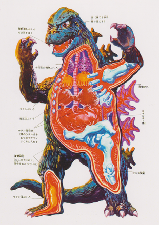 Godzilla X-Ray – Kozmic Studios
