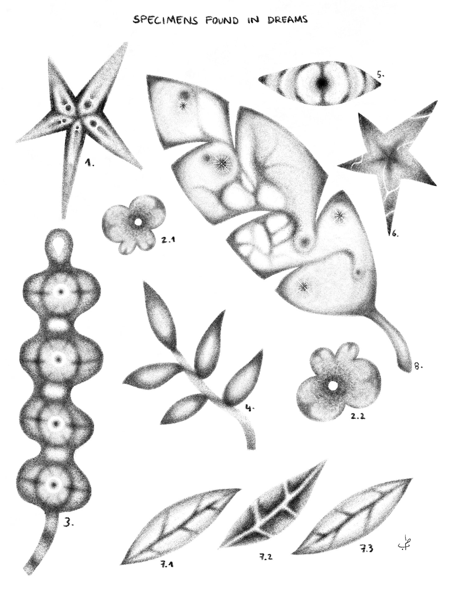 Specimens Found In Dreams